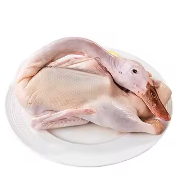 Frozen Whole Duck - Image 5