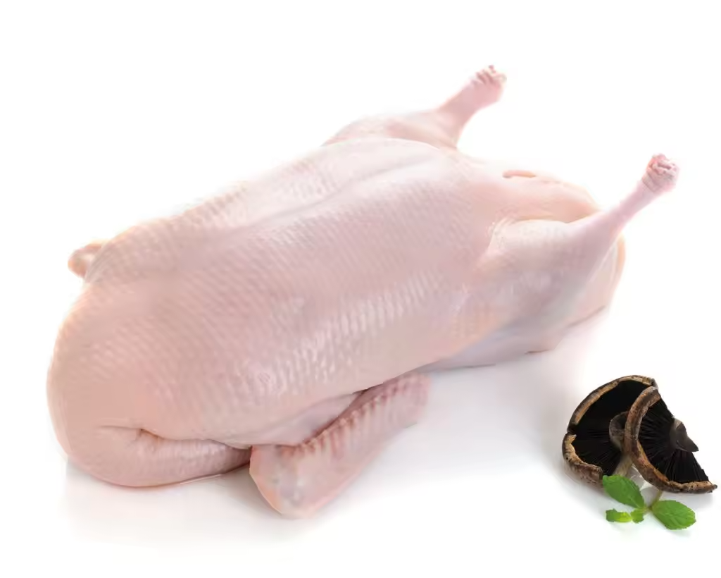 Frozen Whole Duck - Image 2