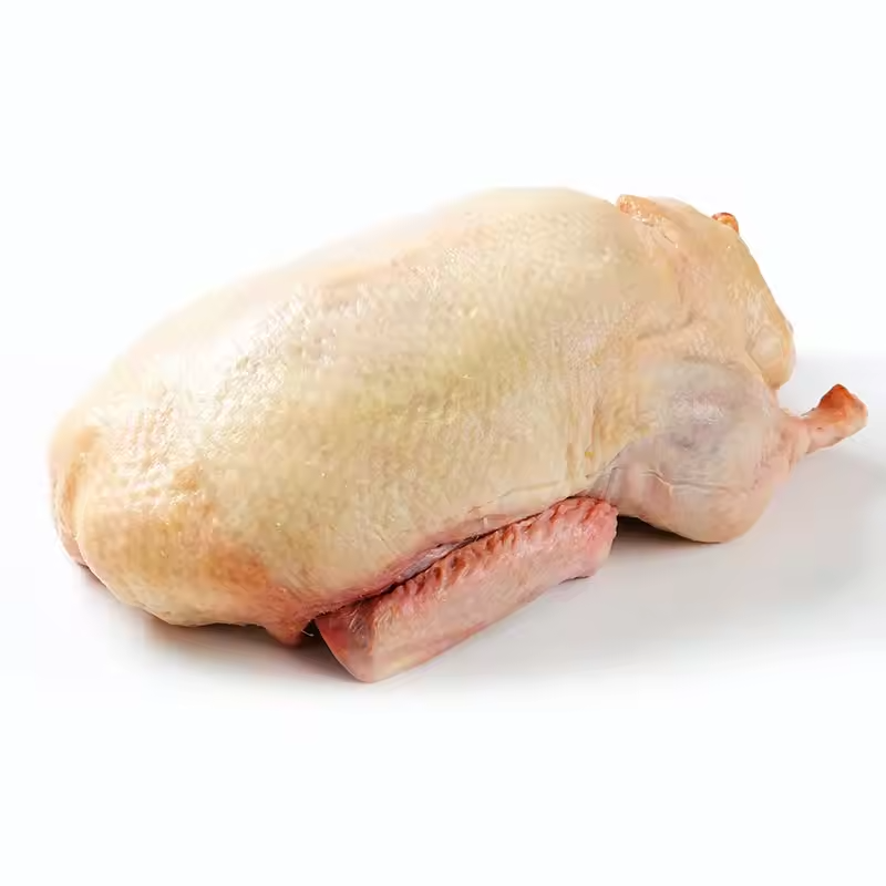 Frozen Whole Duck